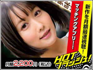 ＨＯＴフラッシュ